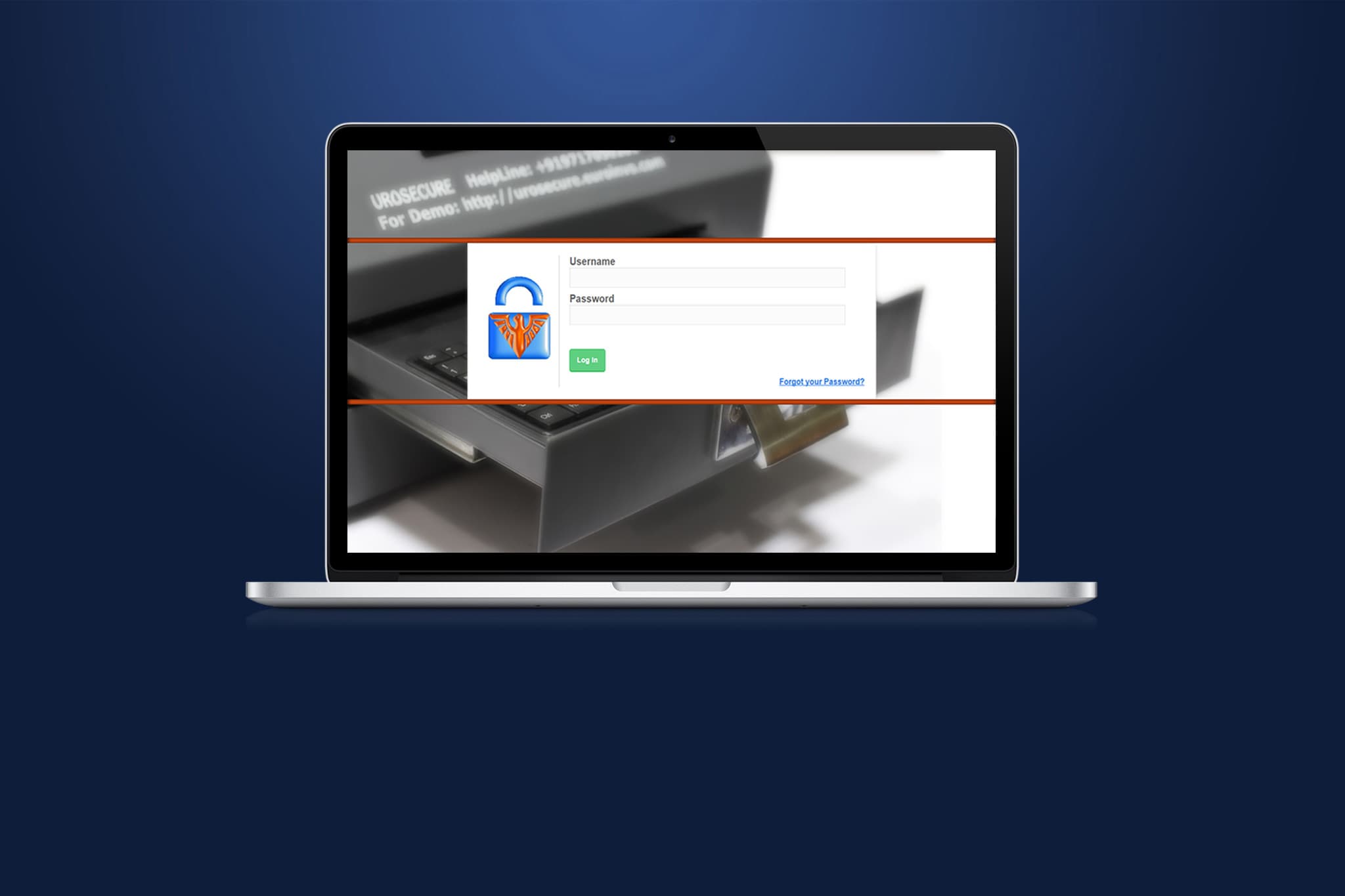 Government & Public Sector